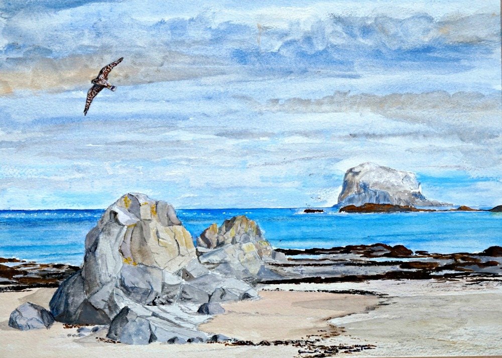 Bass Rock paintings -and this one has a merlin as well!